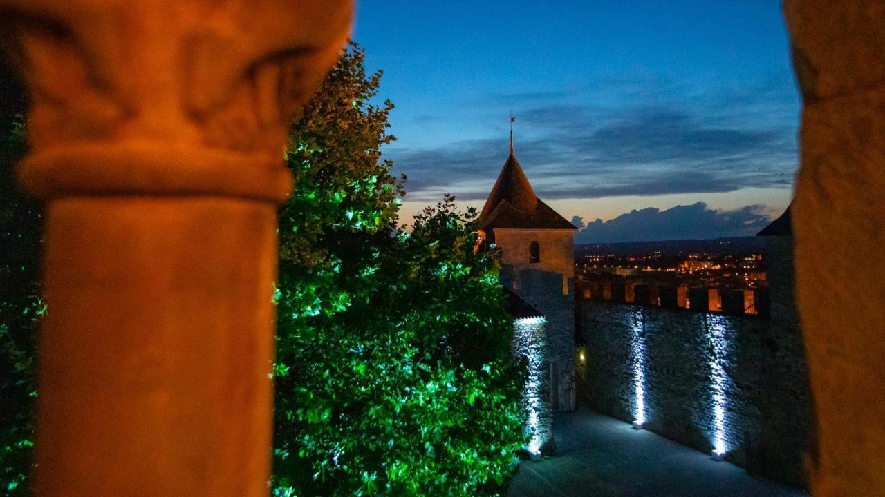 Tout Confort ! Climatisation, Centre-Ville, Parking, Terrasse, Wifi, Netflix Каркасон Екстериор снимка